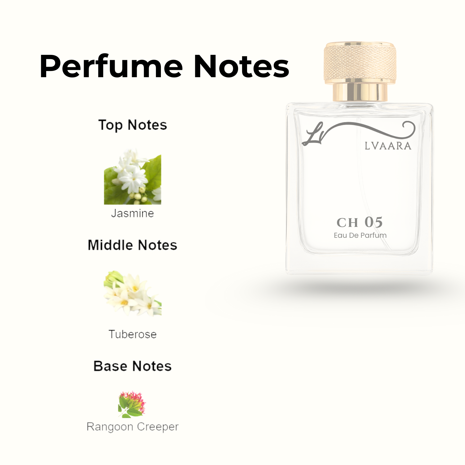 CH 05 | INSPIRED BYN*5 BY CH*NEL | EDP| FEMALE